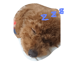 [LINEスタンプ] wannn