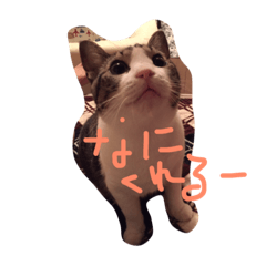 [LINEスタンプ] なな仙人