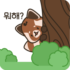 [LINEスタンプ] HELLO！ RADDI