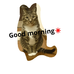 [LINEスタンプ] 2匹の1日