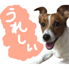 [LINEスタンプ] 愛しのわんこミミ。2