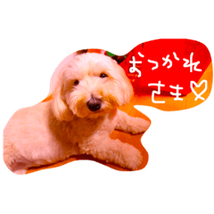 [LINEスタンプ] Moutoku＆May