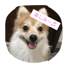 [LINEスタンプ] たろうのすたんぷ