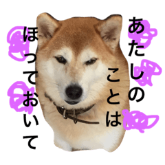 [LINEスタンプ] 柴犬まりの日々