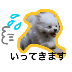 [LINEスタンプ] もちまる。時々てんとひめ。