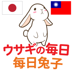 [LINEスタンプ] ウサギの毎日 日本語台湾語の画像（メイン）
