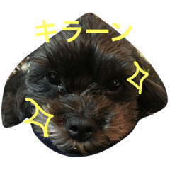 [LINEスタンプ] シープーと仲間たち