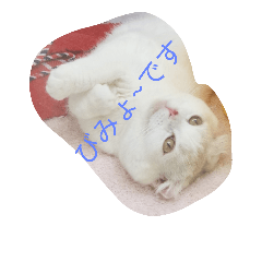 [LINEスタンプ] hesling