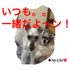 [LINEスタンプ] シュナ夫婦だよ‼️