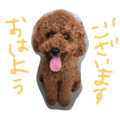 [LINEスタンプ] ロイ