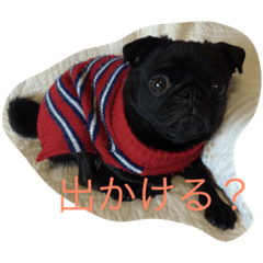 [LINEスタンプ] 黒パグのハルと猫のクッキー