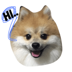 [LINEスタンプ] Enjoy tne fun of Mamoo