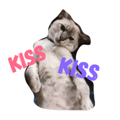 [LINEスタンプ] Sri-mok