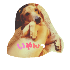[LINEスタンプ] ぐりちん