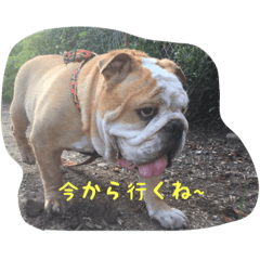 [LINEスタンプ] Bー太と一歩