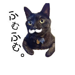 [LINEスタンプ] Speak cat.