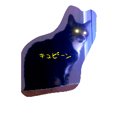 [LINEスタンプ] あっちゃんの日常♪