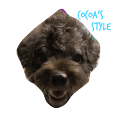 [LINEスタンプ] cocoa's style2