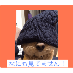 [LINEスタンプ] 私のショコラ