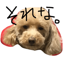 [LINEスタンプ] はなはぶちゃいく。