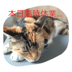 [LINEスタンプ] トリミングあるある