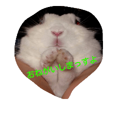 [LINEスタンプ] ウサビッチーズ