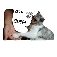 [LINEスタンプ] my neighbor toto