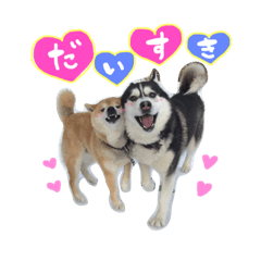 [LINEスタンプ] ちさきfamily