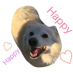 [LINEスタンプ] つうこ♡ちよ