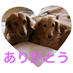 [LINEスタンプ] ムク アンド リク