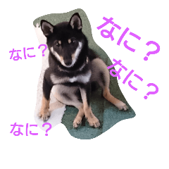 [LINEスタンプ] なっつあん