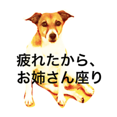 [LINEスタンプ] ジャックラッセルのジャム＆シオン。