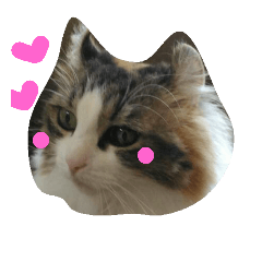 [LINEスタンプ] みゅうこ2