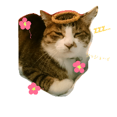 [LINEスタンプ] ムギ・リリのきもち