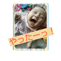 [LINEスタンプ] kocchi01