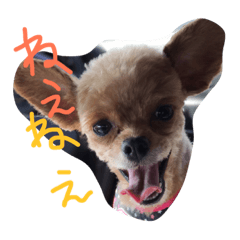 [LINEスタンプ] もこちゃんず