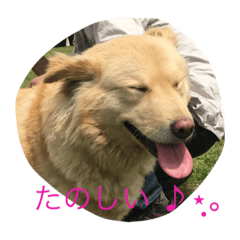 [LINEスタンプ] fuwafuwamoco