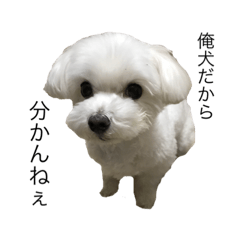 [LINEスタンプ] のざわのザワつき