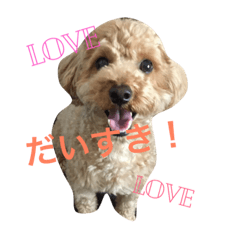 [LINEスタンプ] Mame's everyday