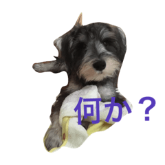 [LINEスタンプ] グリ