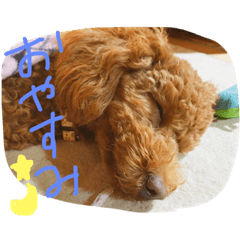 [LINEスタンプ] デカプー！？さくらの1日♡