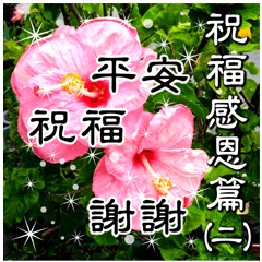 [LINEスタンプ] Jessie-Daily greetings (blessing) 2
