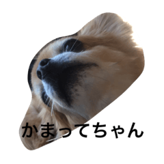 [LINEスタンプ] 簡単な日常会話の中で使えるスタンプです♡