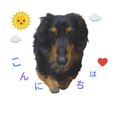 [LINEスタンプ] ゴンの会