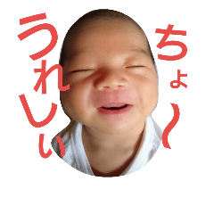 [LINEスタンプ] 行け行け！コハクさん