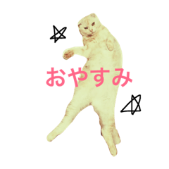 [LINEスタンプ] ごまねこちゃん