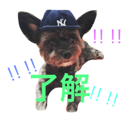 [LINEスタンプ] うちのボスくん