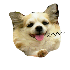 [LINEスタンプ] ちえり1