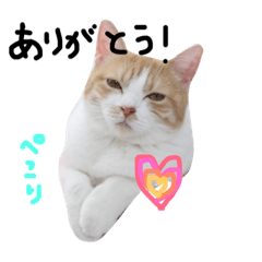 [LINEスタンプ] すーさんスタンプ