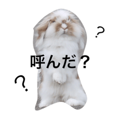 [LINEスタンプ] ももちの日常